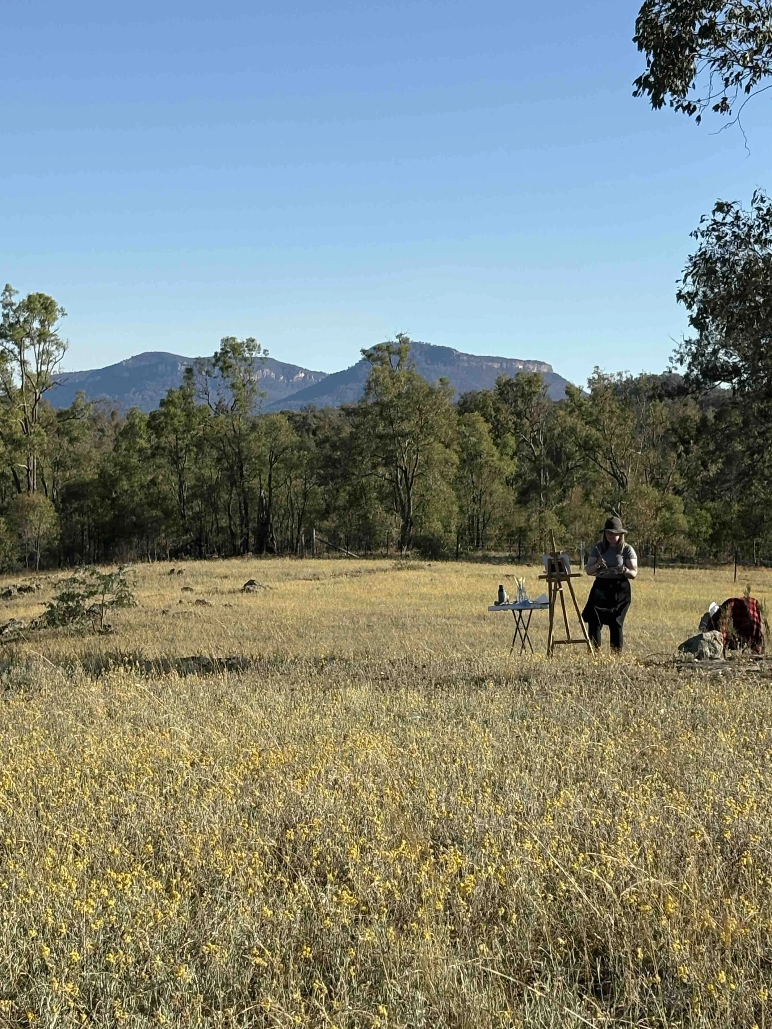 artist standing in wide paddock painting at an easel with mountains beyond