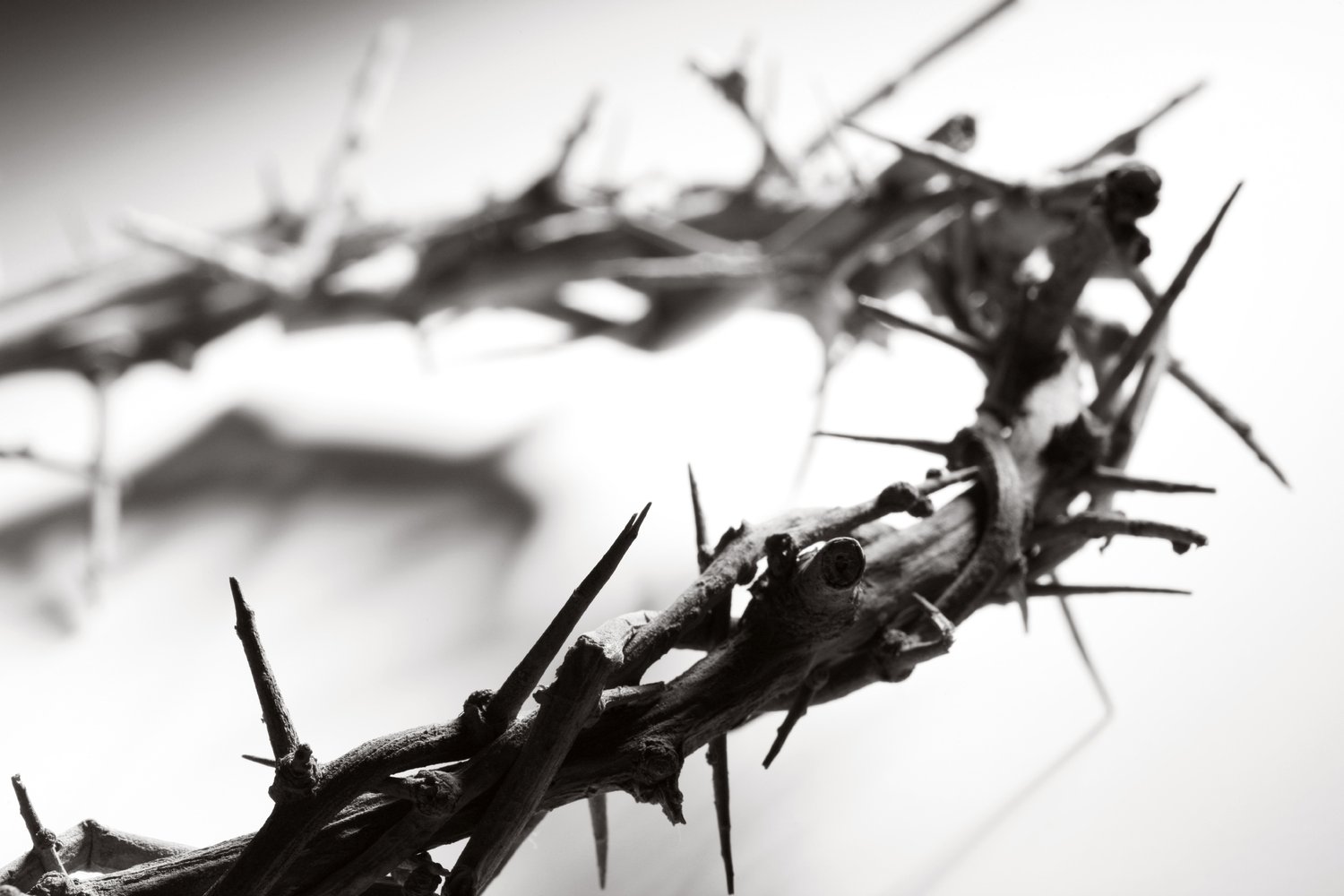 SERVANT SONGS: The Vulnerable Servant (Isaiah 50) episode artwork