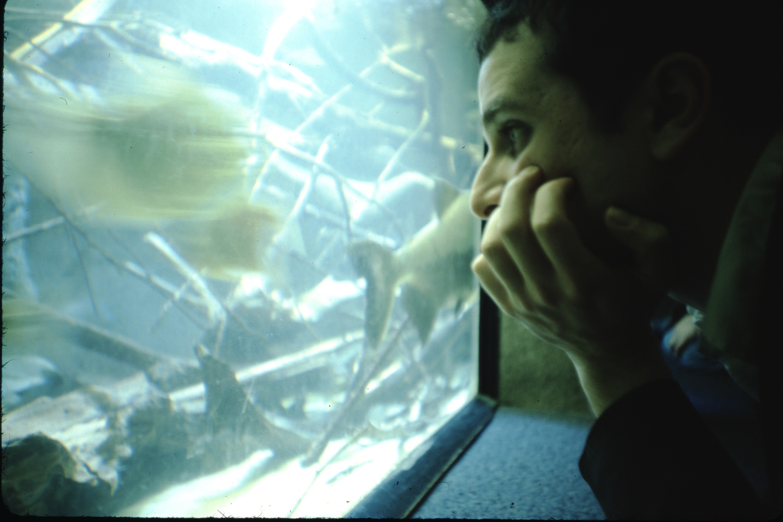 The Unstudied Sea