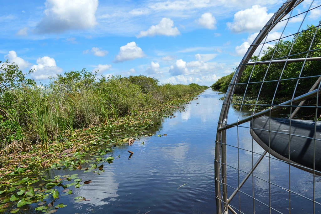 EXPLORING THE EVERGLADES