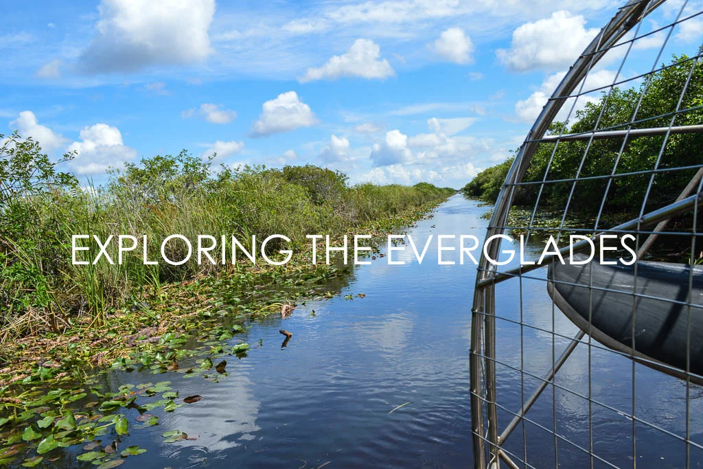 EXPLORING THE EVERGLADES IN FLORIDA