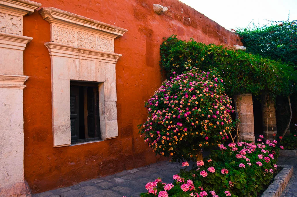 A view of a botanical square in Monasterio de Santa Catalina. the walls are red with white sillar arches and stone work and columns. There is greenery and flower bushes.