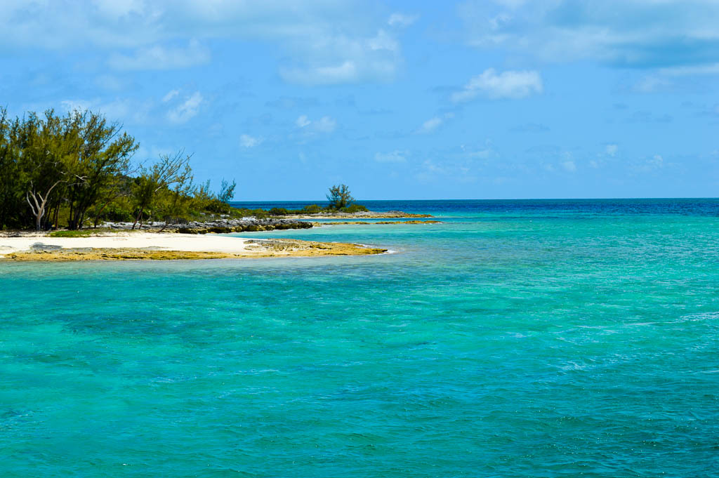 Clear turquoise water meeting a small sandy beach and low green trees along a rocky coastline in The Bahamas