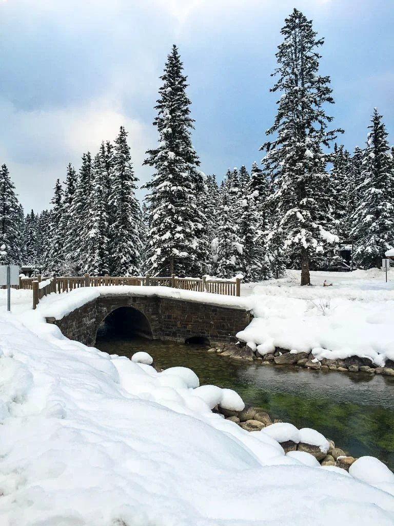 TRavel to Lake Louise, Banff, Canada