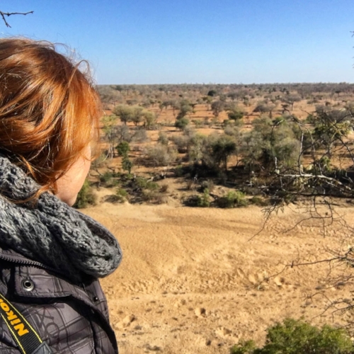 SOLO TRAVELER ON SAFARI IN KRUGER NATIONAL PARK