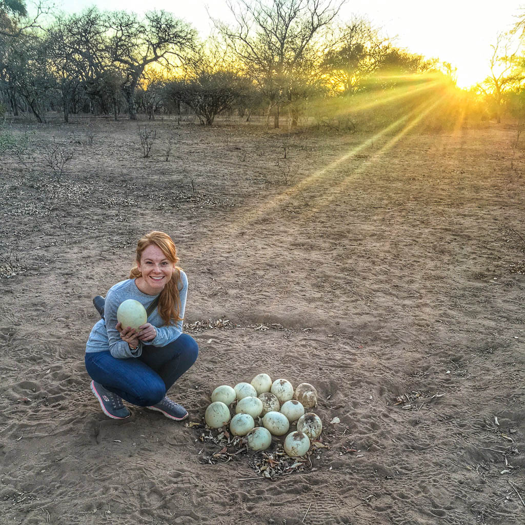 INTREPID TRAVEL KRUGER REVIEW: NATURAL WALK