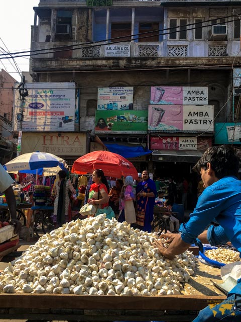 my first day in india: Chandi chowk market in delhi