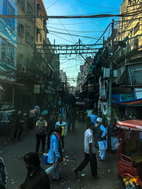my first day in india: Chandi chowk market in delhi