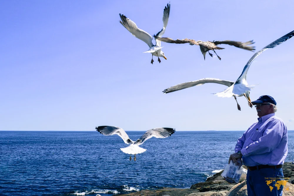 VISIT THE LIGHTHOUSES OF MAINE