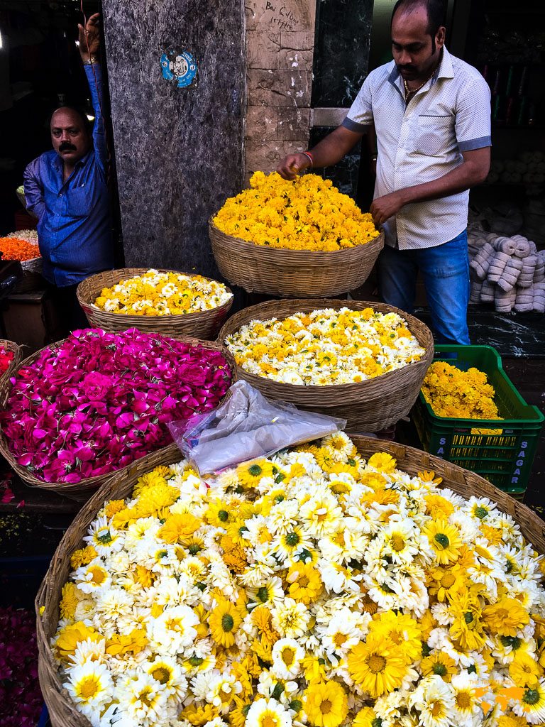 CONTIKI ETERNAL INDIA TOUR REVIEW