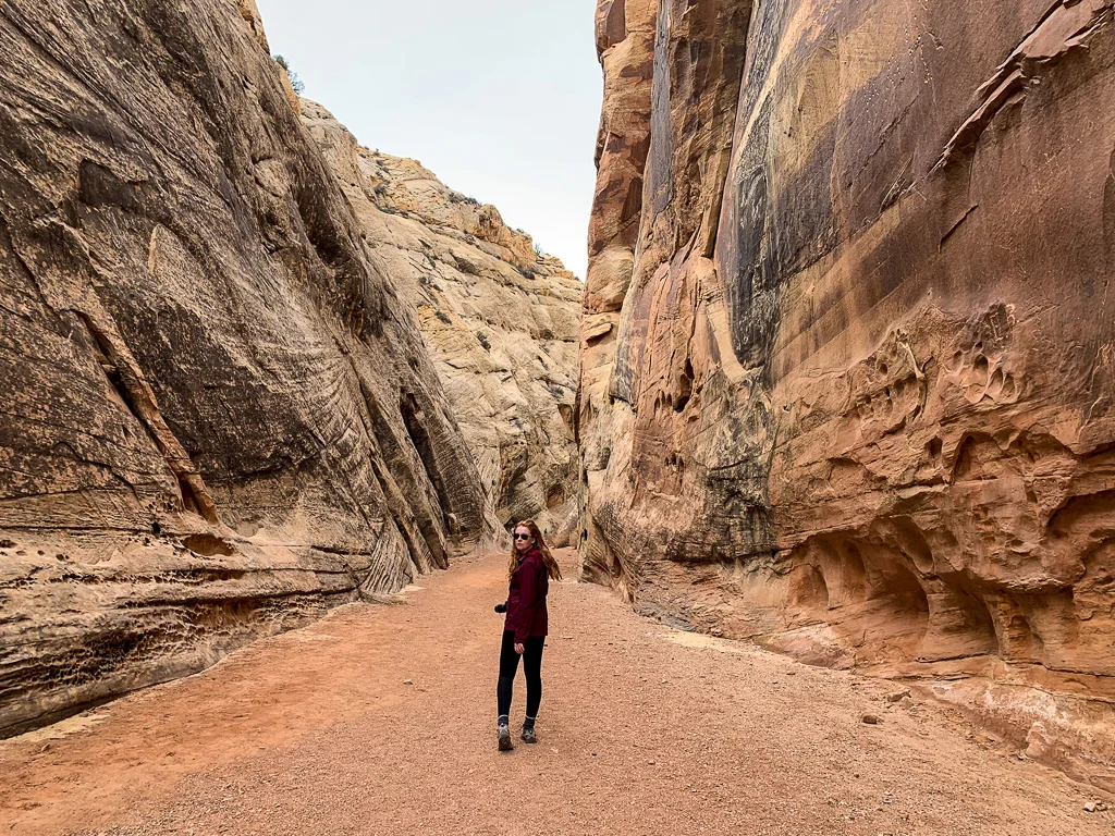 CAPITOL GORGE TRAIL CANYONLANDS NATIONAL PARK UTAH