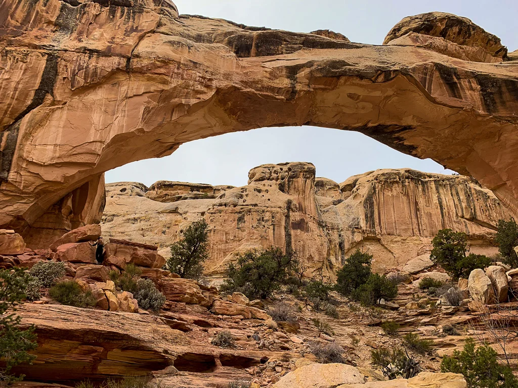 HICKMAN BRIDGE TRAIL CAPITOL REEF NATIONAL PARK UTAH