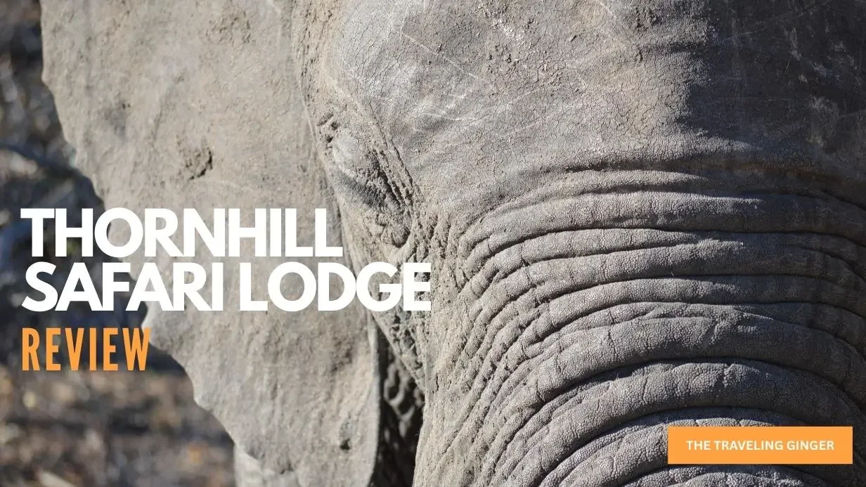 THORNHILL SAFARI LODGE KRUGER NATIONAL PARK SOUTH AFRICA REVIEW