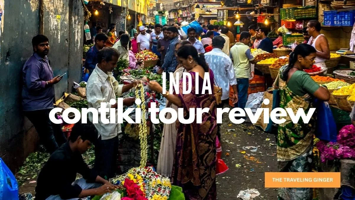 CONTIKI TOUR REVIEW: INDIA 