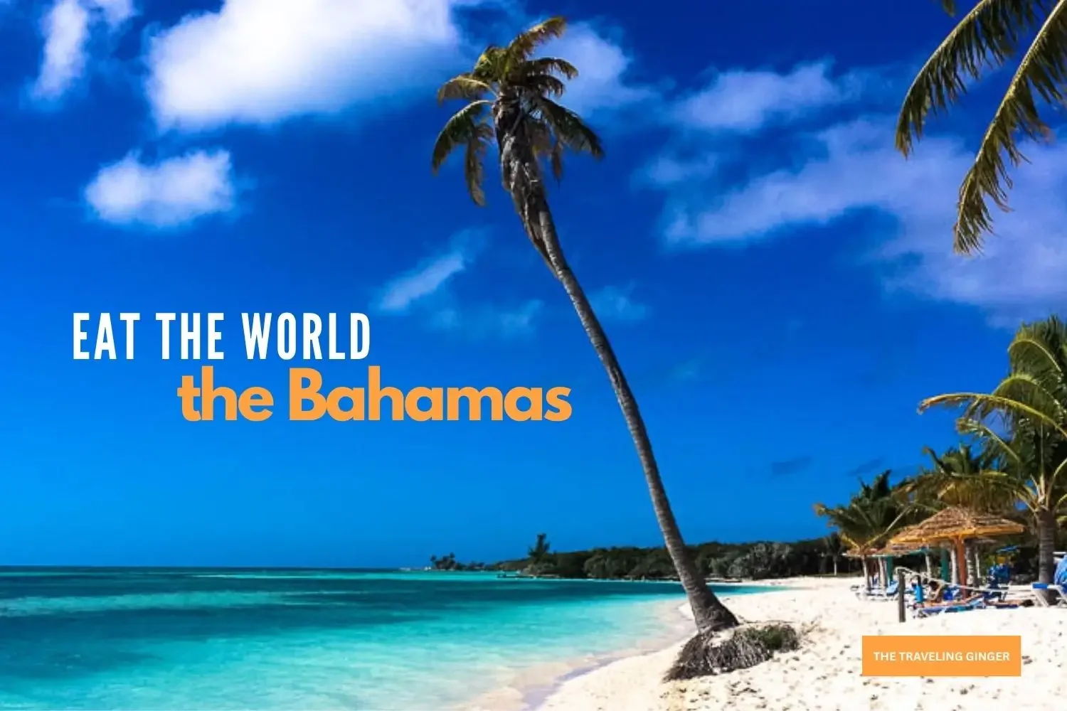 COOK THE NATIONAL DISH OF THE BAHAMAS