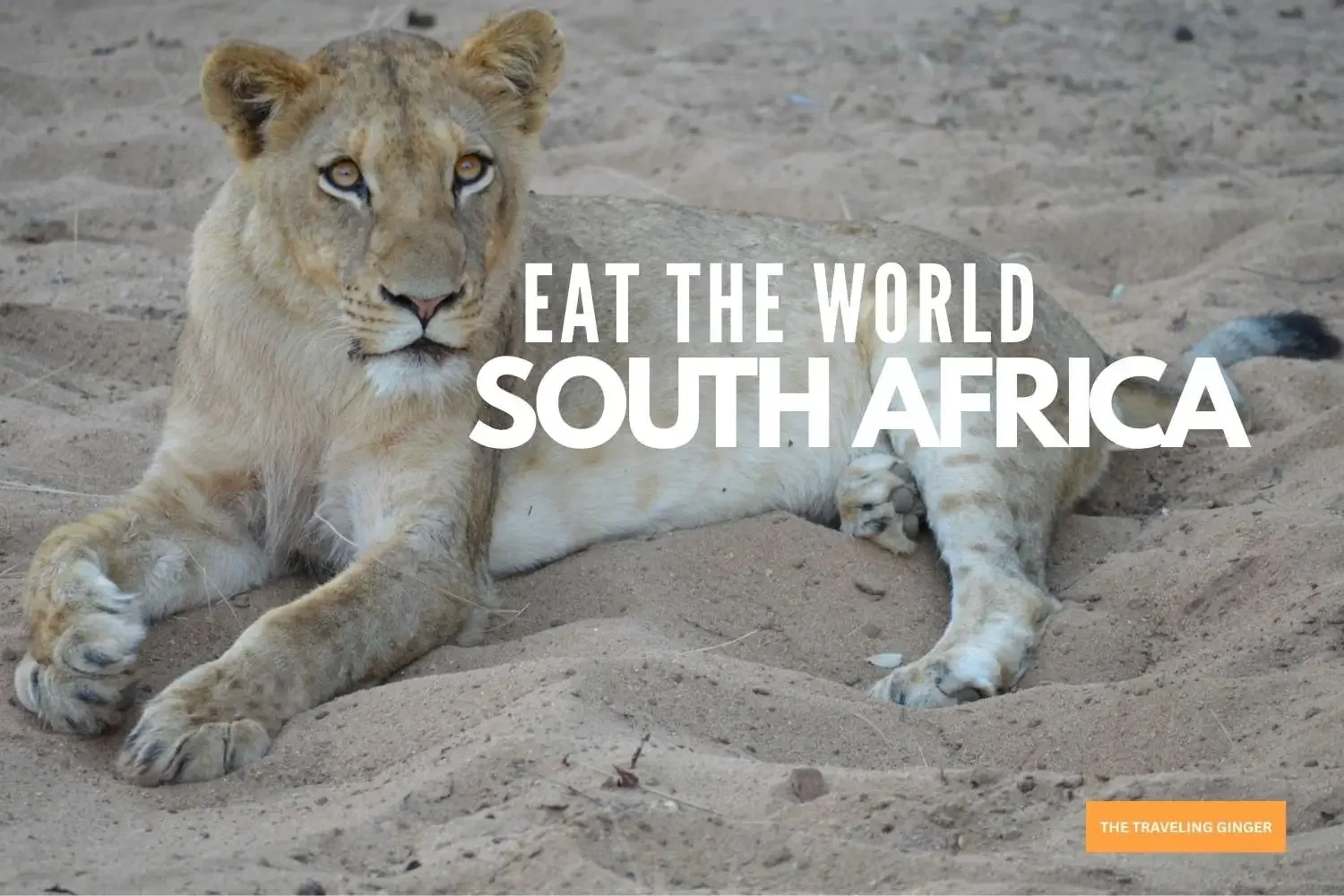 COOKING THE NATIONAL DISH OF SOUTH AFRICA