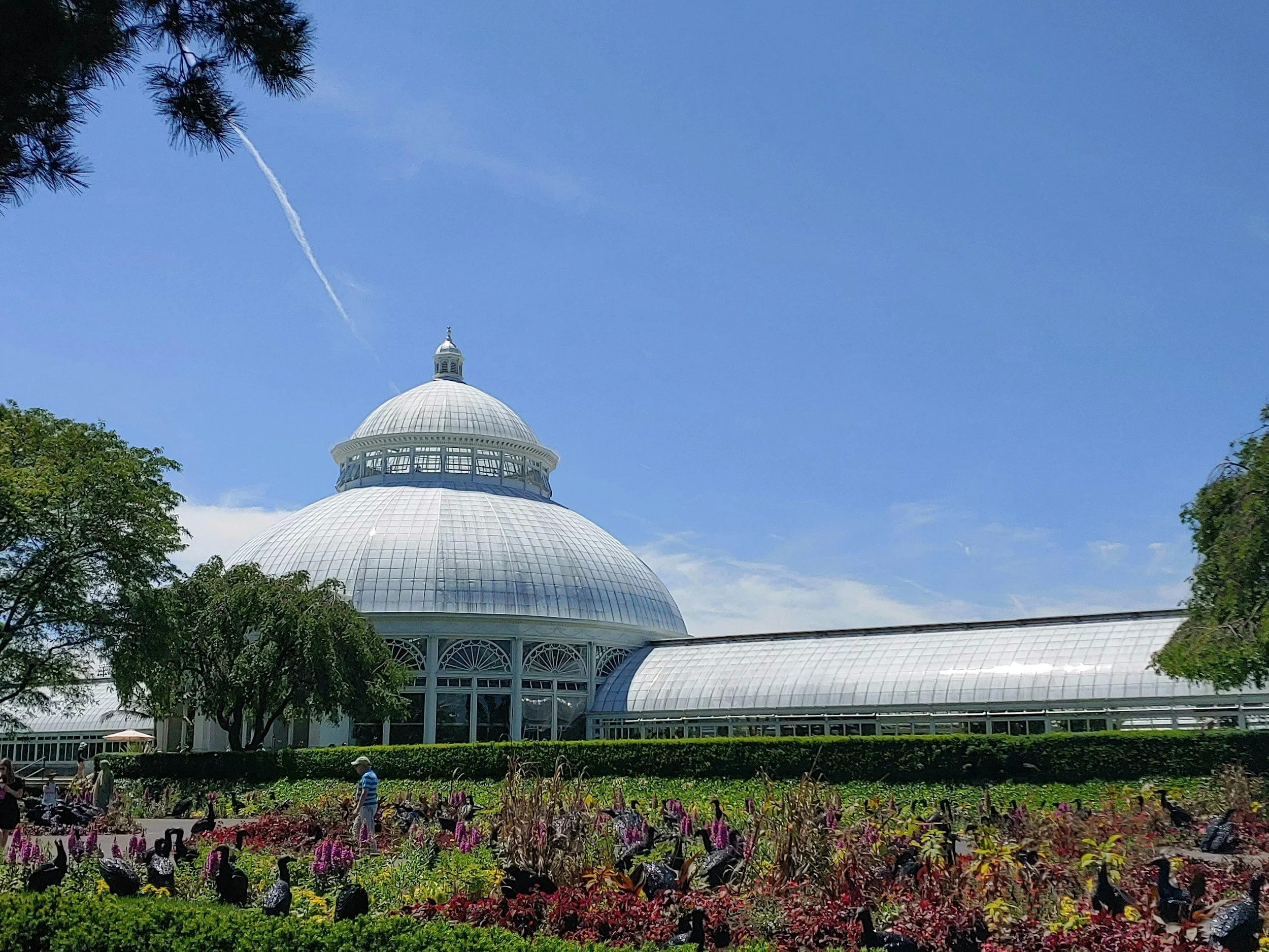view of the glass enid a. haupt conservatory with plants surrounding it at the new york botanical garden in the bronx