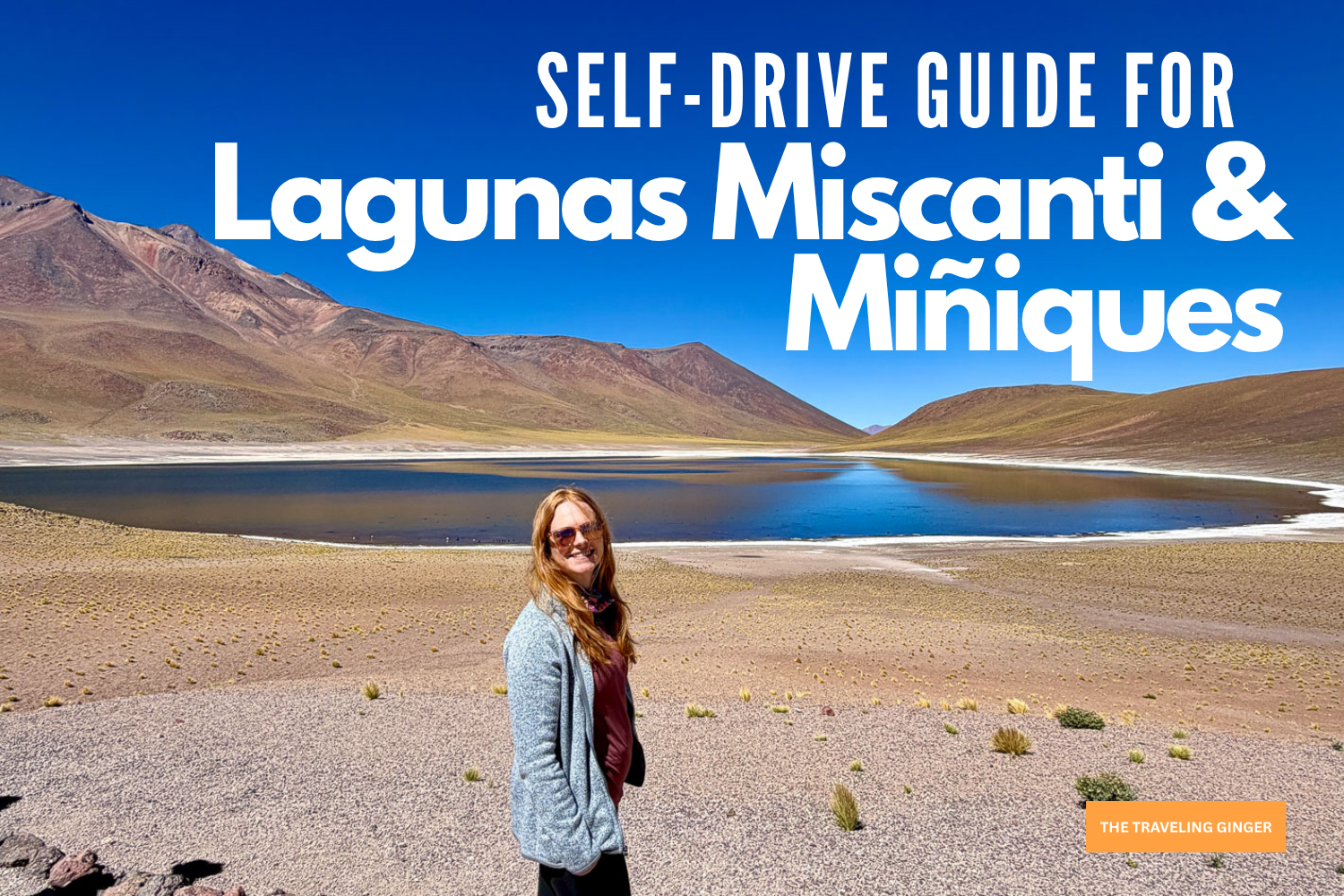 Visiting Lagunas Miscanti &amp; Miñiques: The Complete Self-Drive Guide (Tickets, Tips &amp; What No One Tells You)