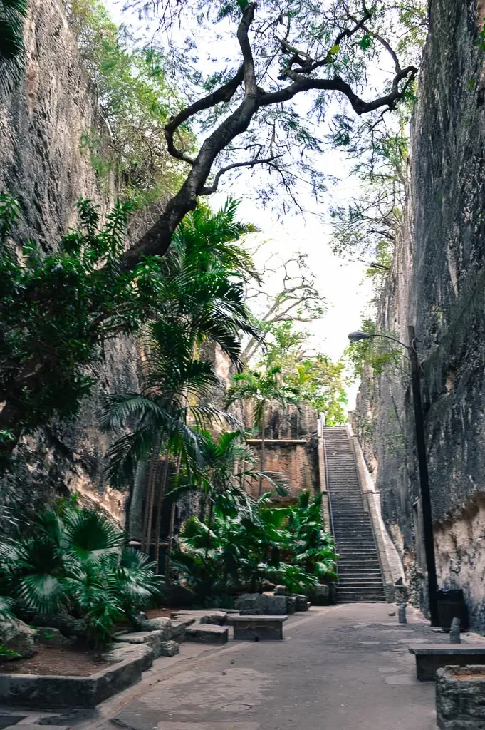 The Queen's staircase in nassau the bahamas. a view of the staircase up to the top with many lush trees. Rock walls on the sides.