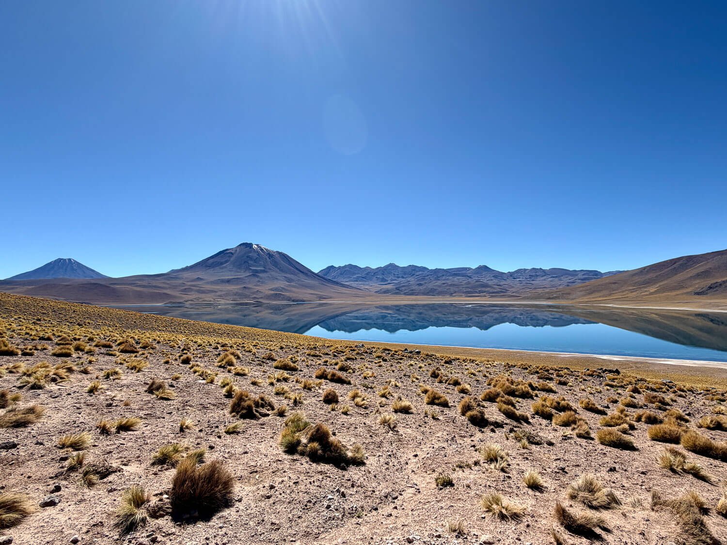Volcanoes reflected in the still blue water of Laguna Miscanti, seen across a tussock-covered slope in the Atacama Desert, Chile