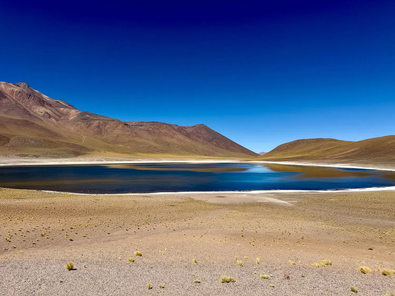Dark blue altiplanic lagoon rimmed with white salt crust and surrounded by bare desert hills under a deep blue sky, Los Flamencos National Reserve, Chile