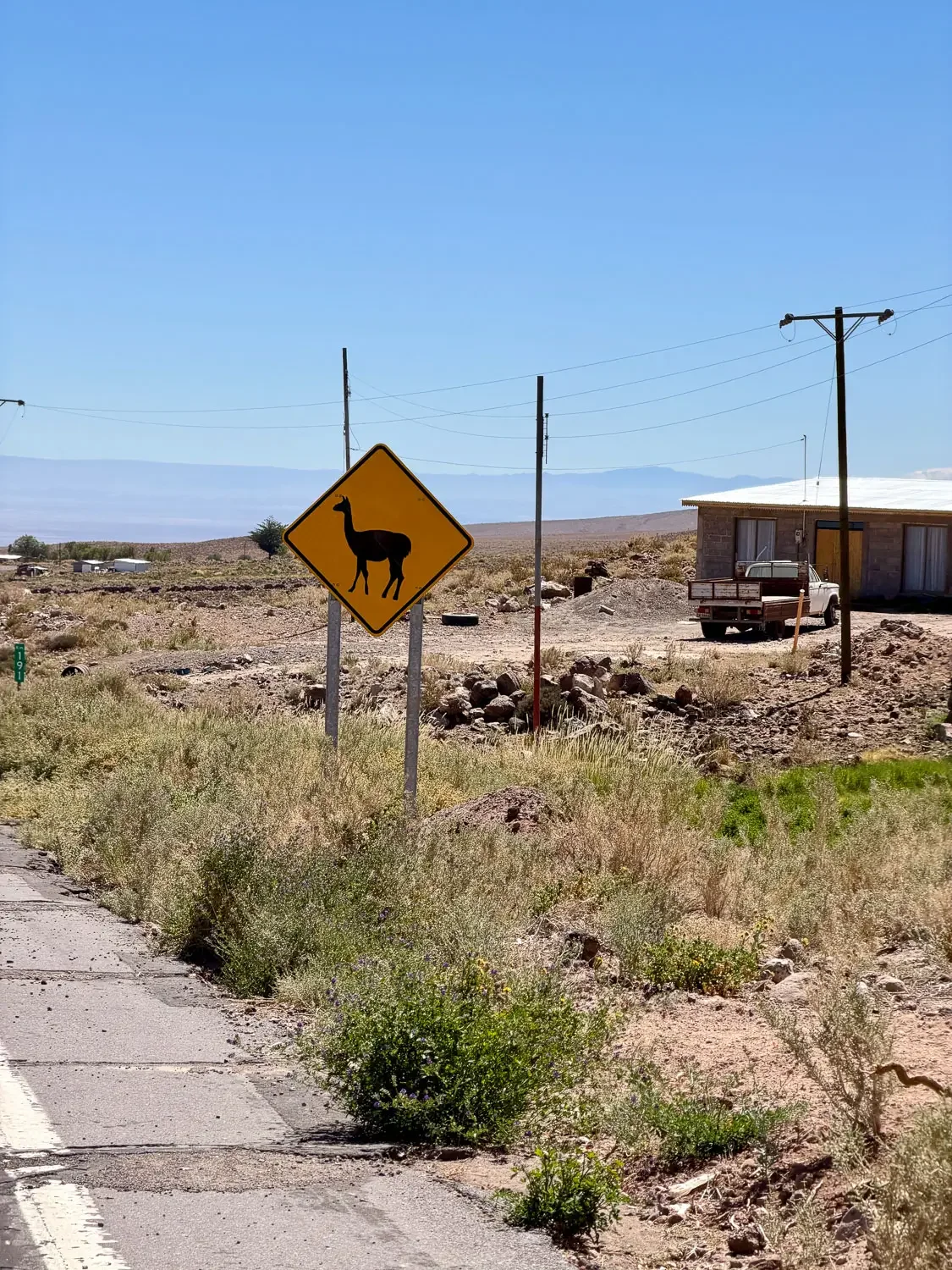 Yellow llama crossing road sign along Route 23 in the Atacama Desert near Socaire, Chile