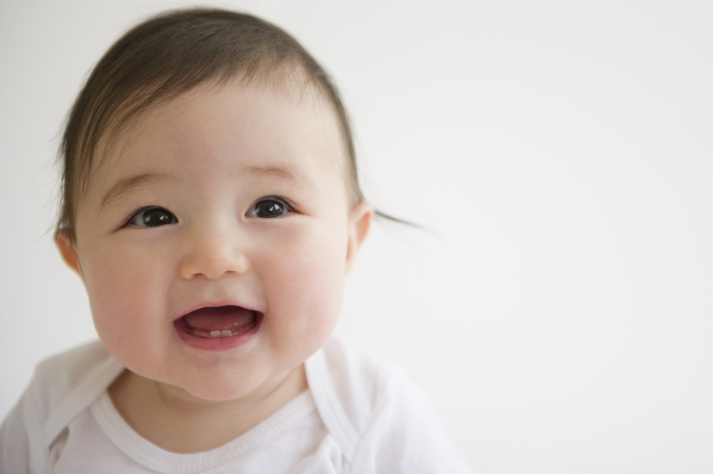 push stroller rentals atlanta.jpg