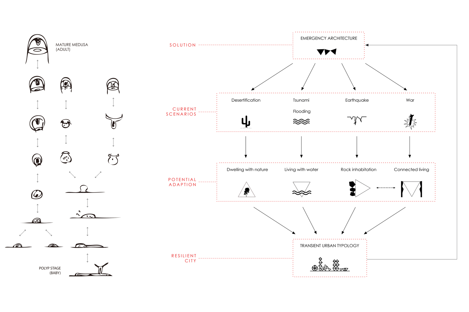 Translation of the Resilient System