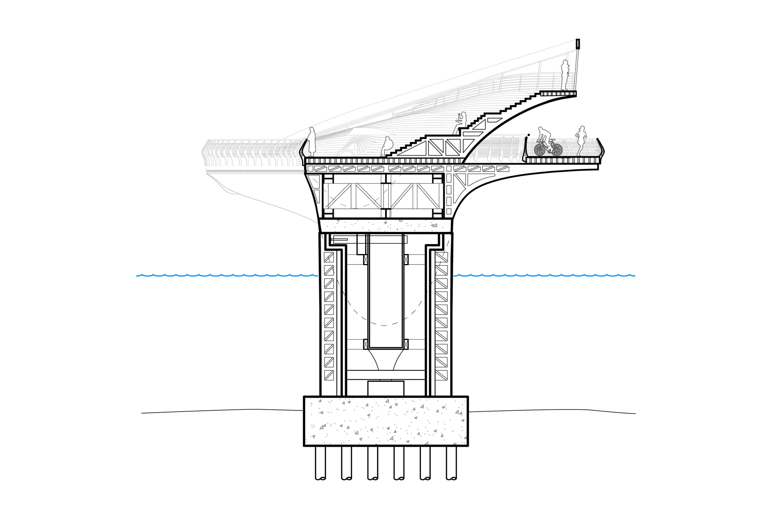 section.jpg
