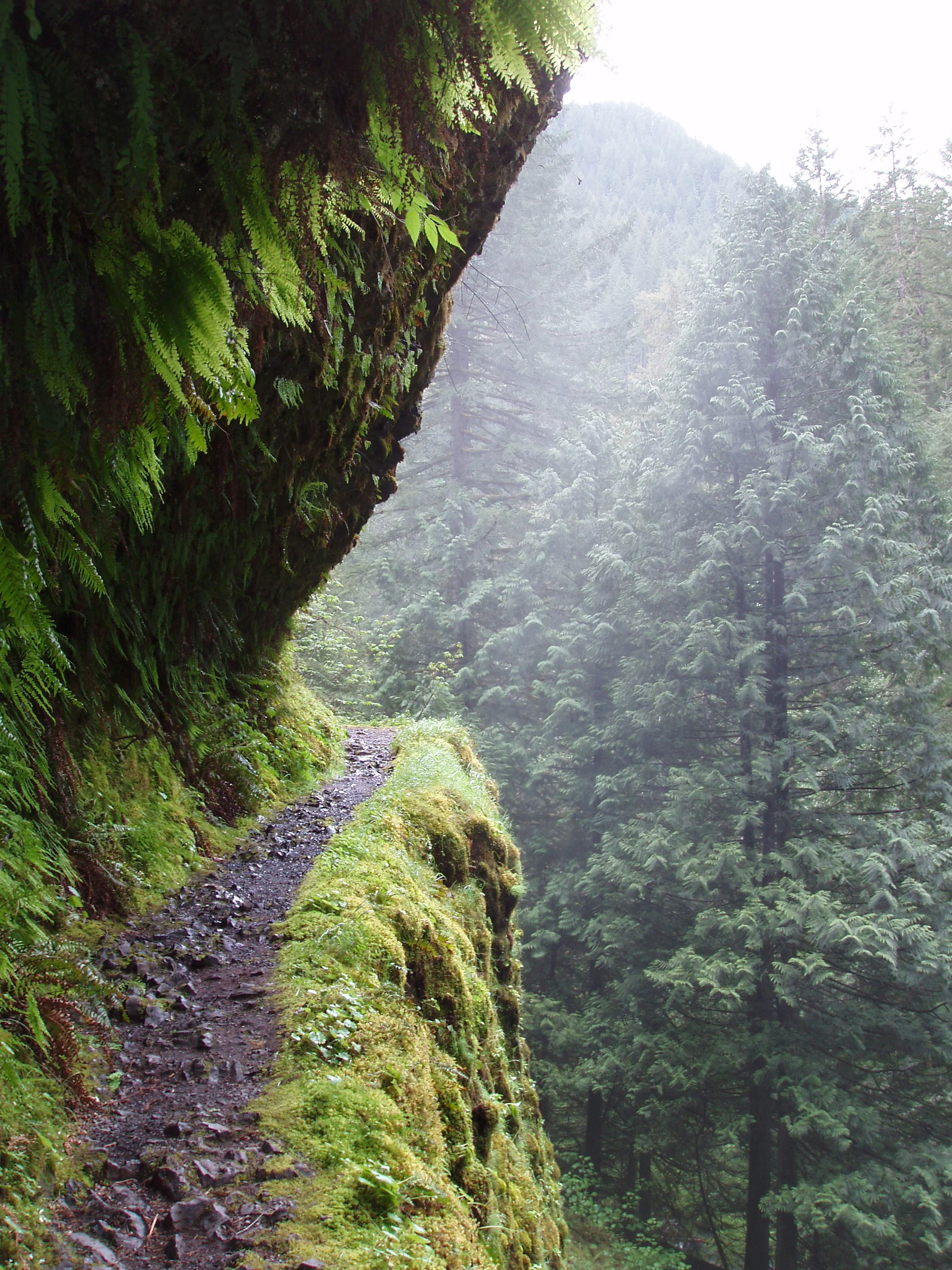 eagle creek tunnel falls, oregon
