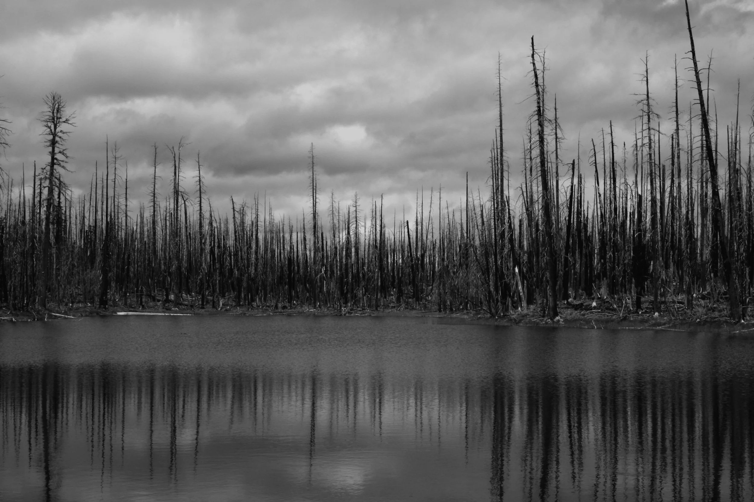 near waldo lake, oregon