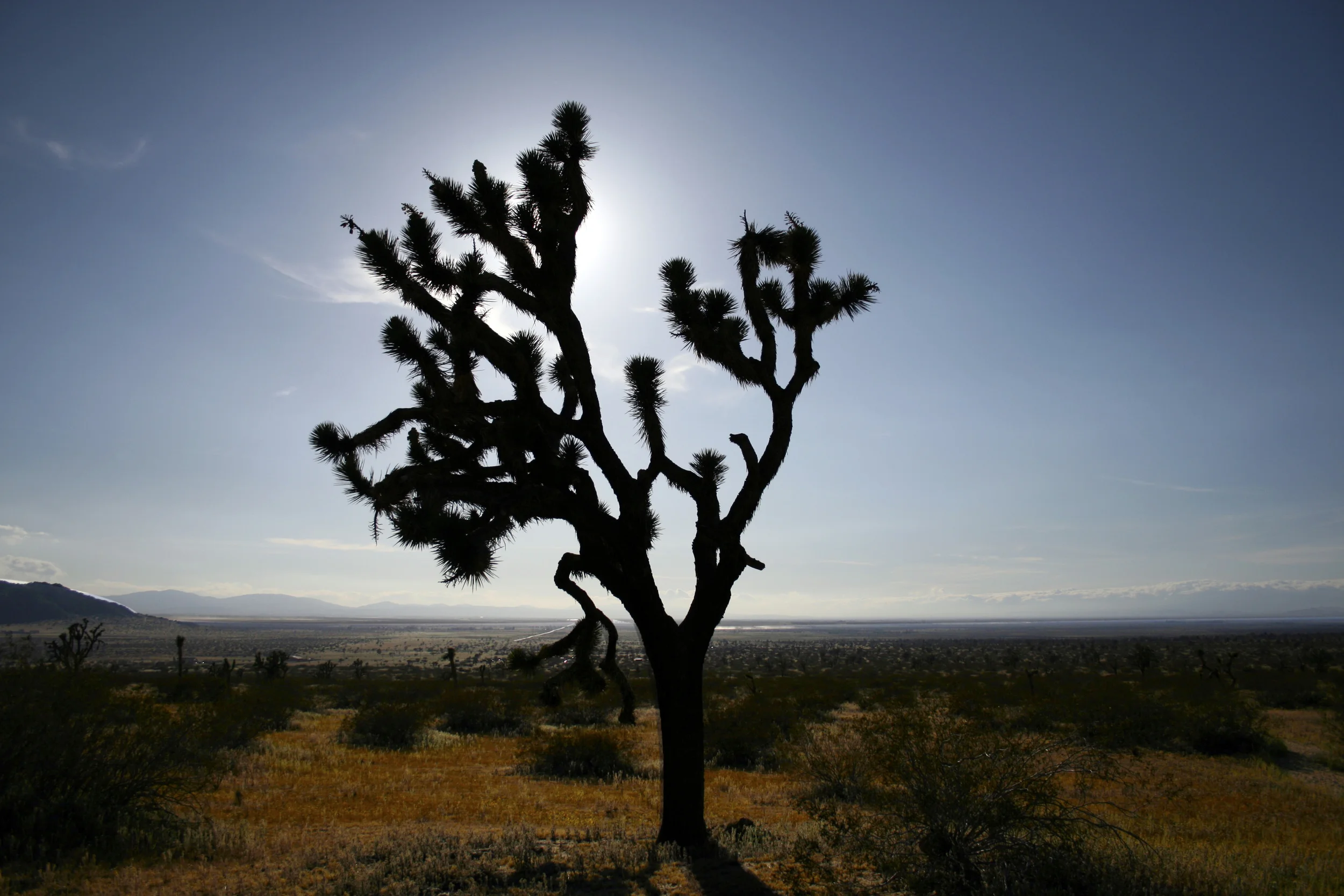 saddleback butte, california