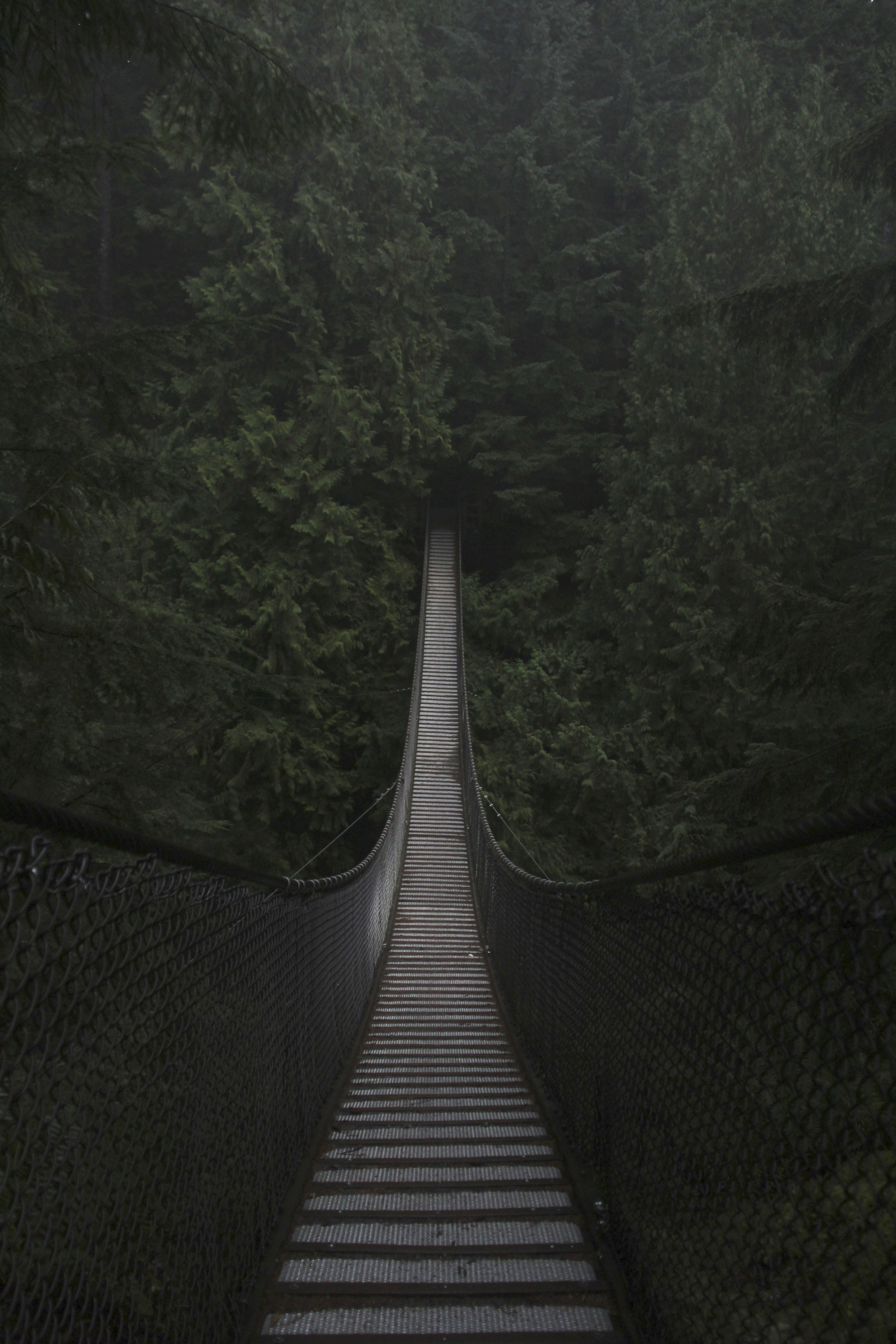 lynn canyon bridge, british columbia
