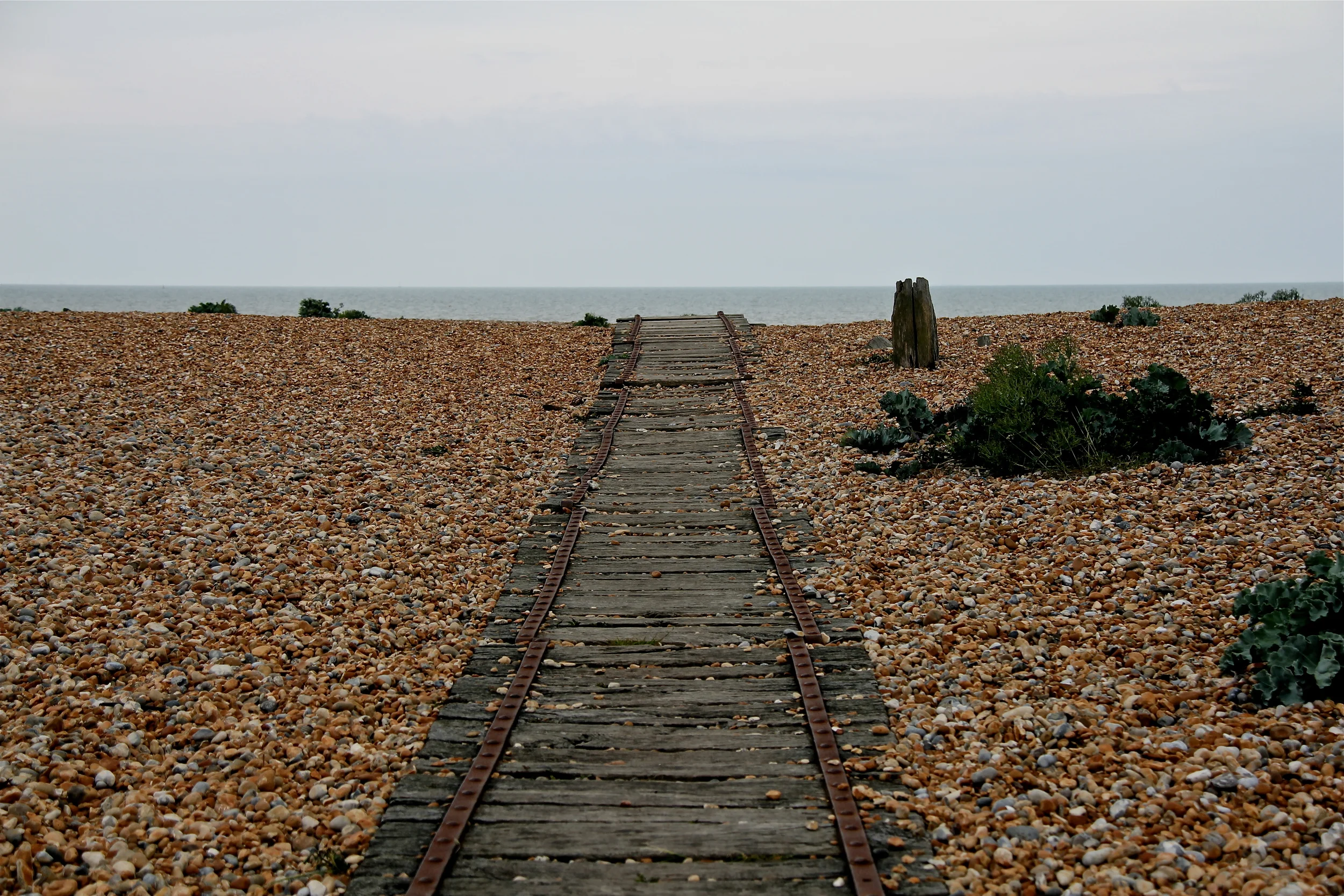coast near rye