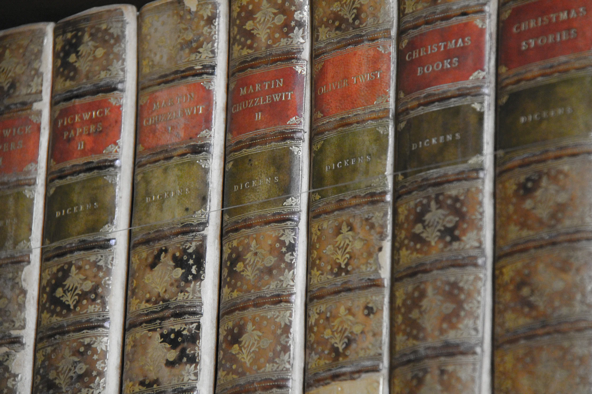 leeds castle library, england