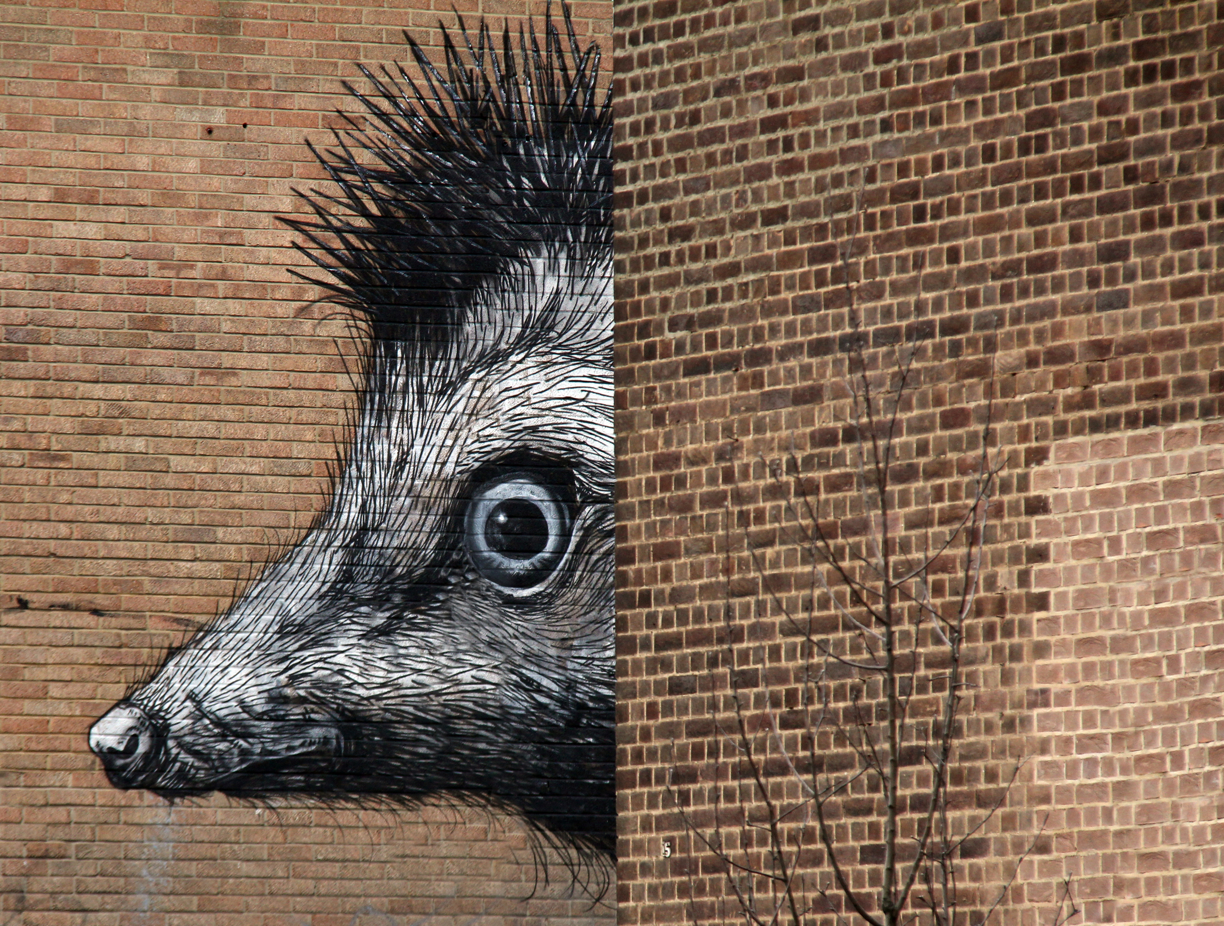 roa street art, london