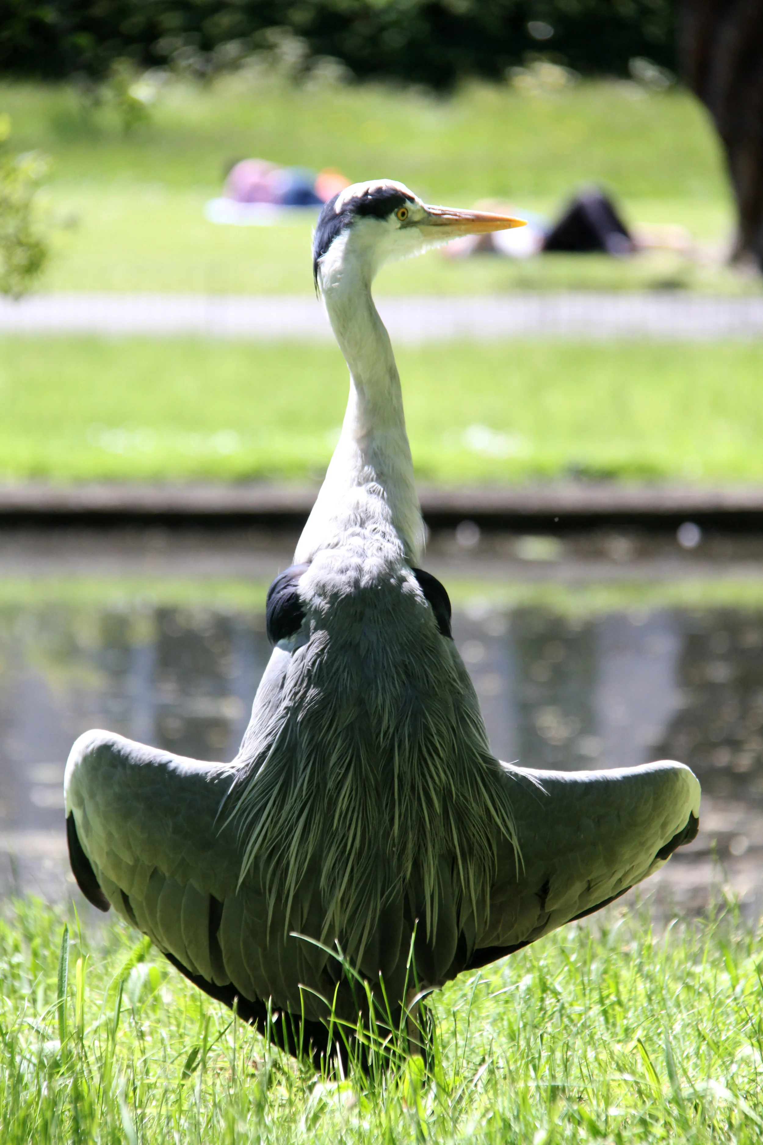 st. james park, london