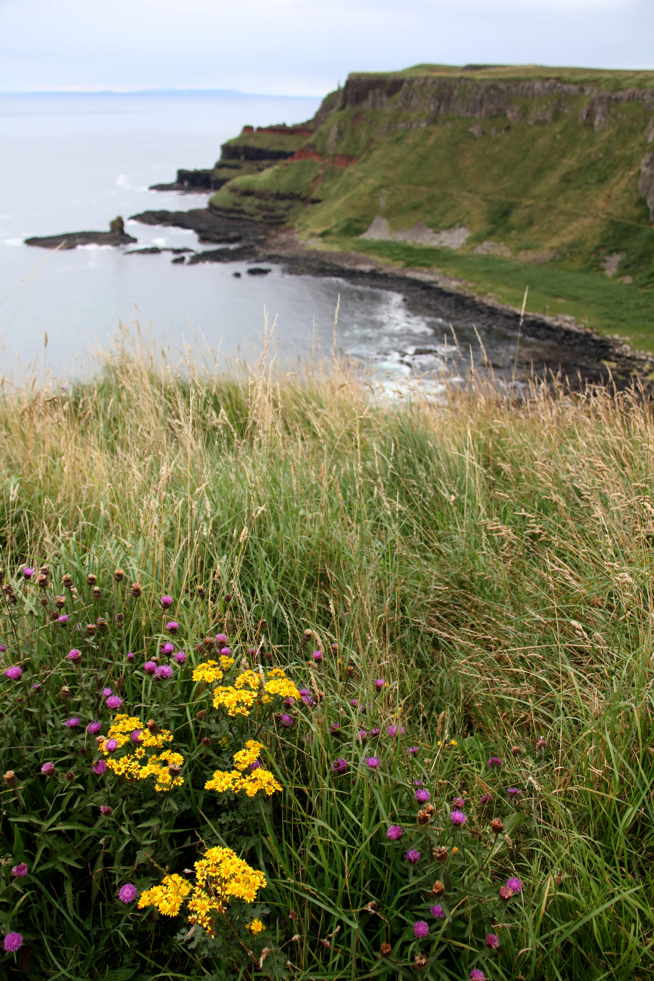 near giant's causeway, northern ireland