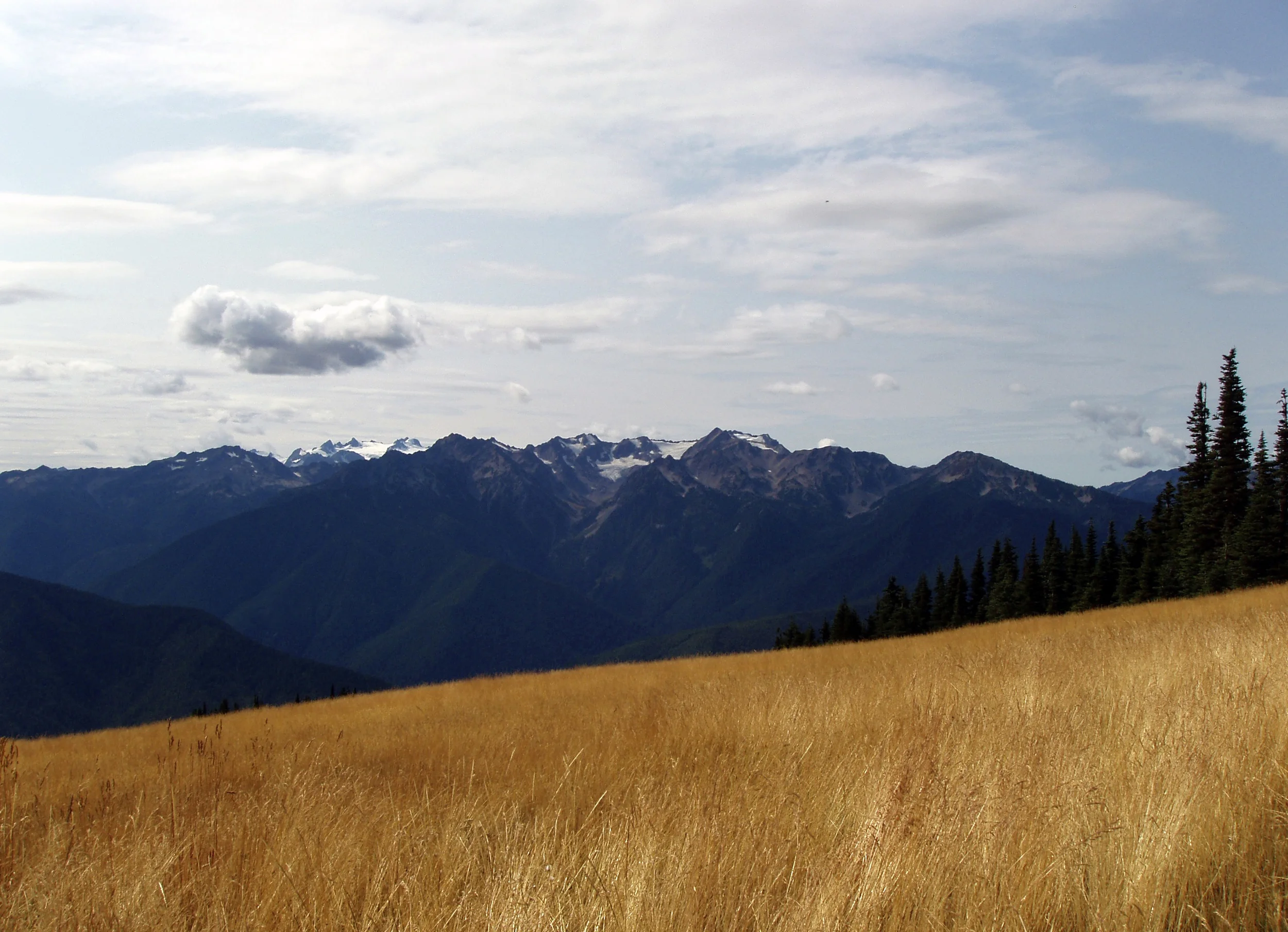 hurricane hill, olympic