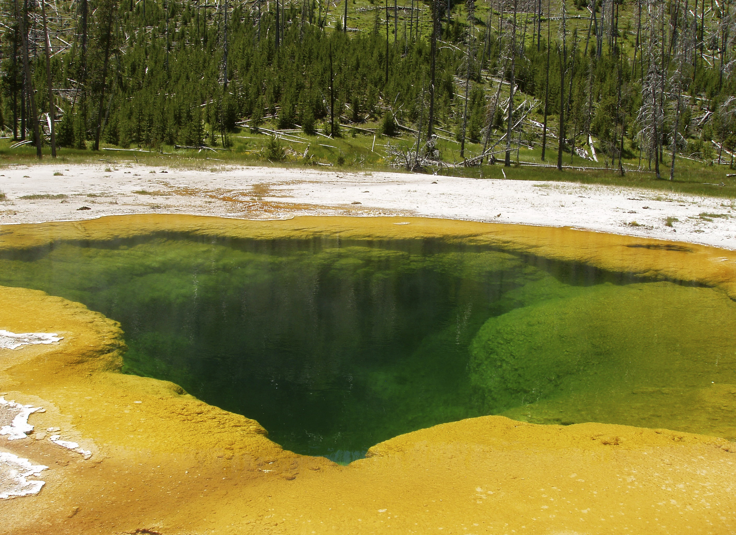 black sand basin, yellowstone