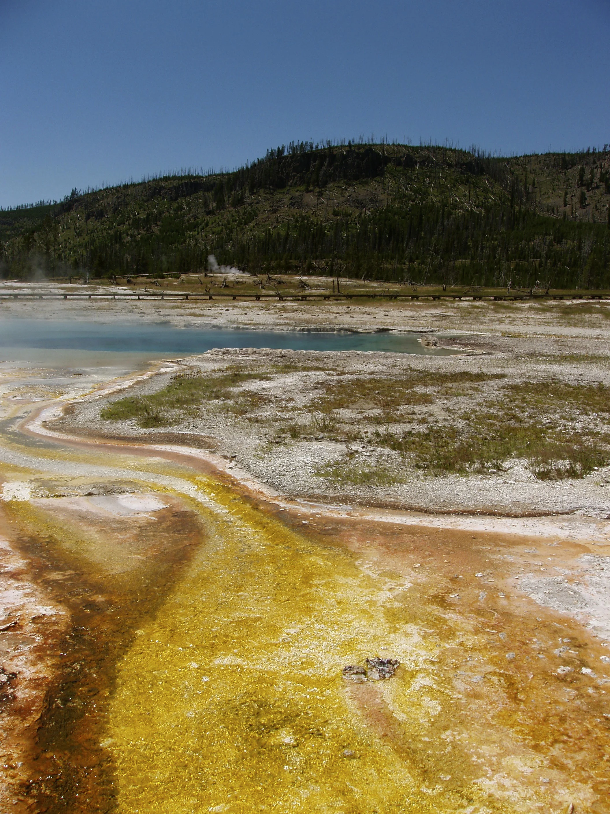 black sand basin, yellowstone