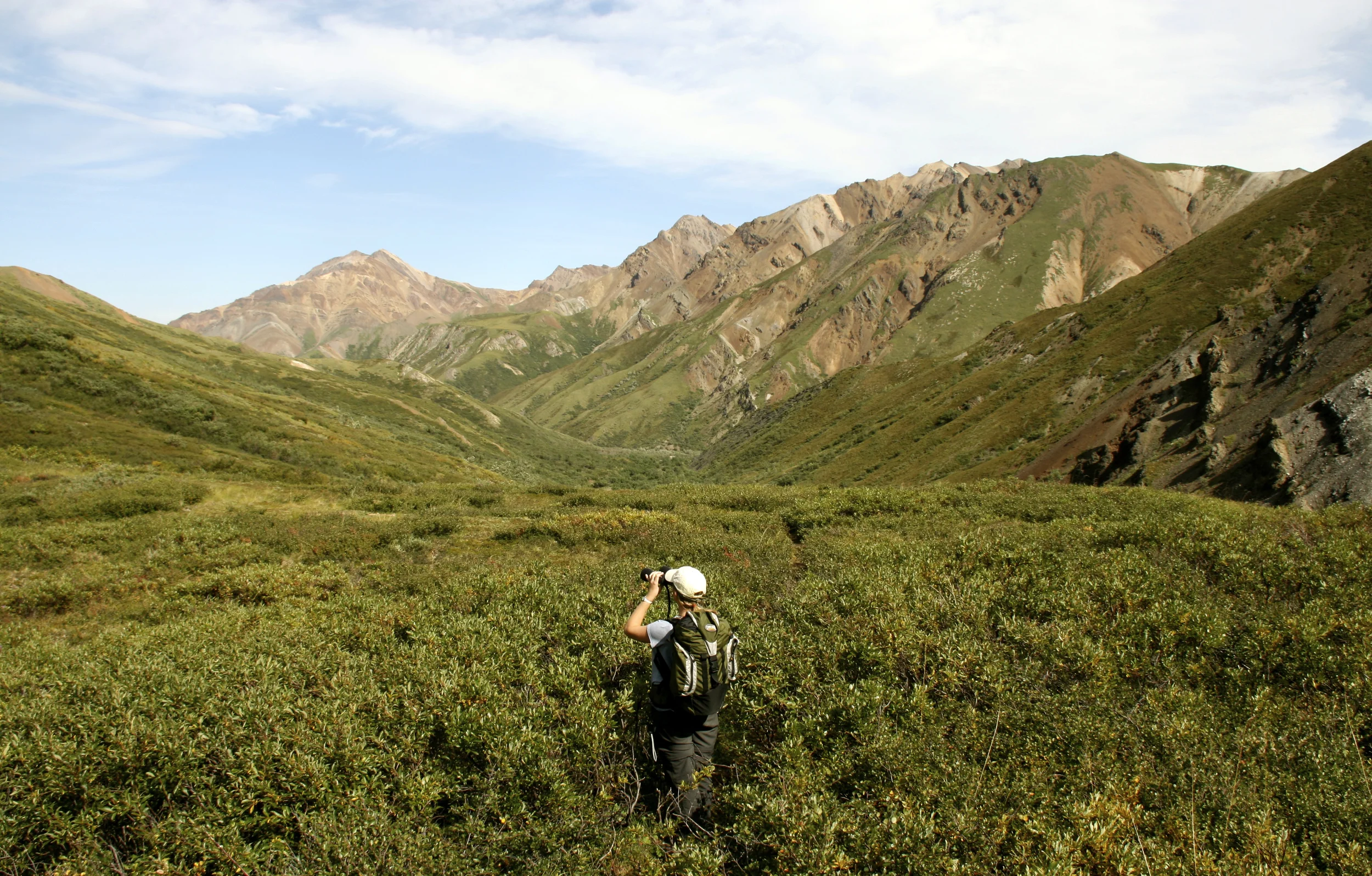 backpacking in denali