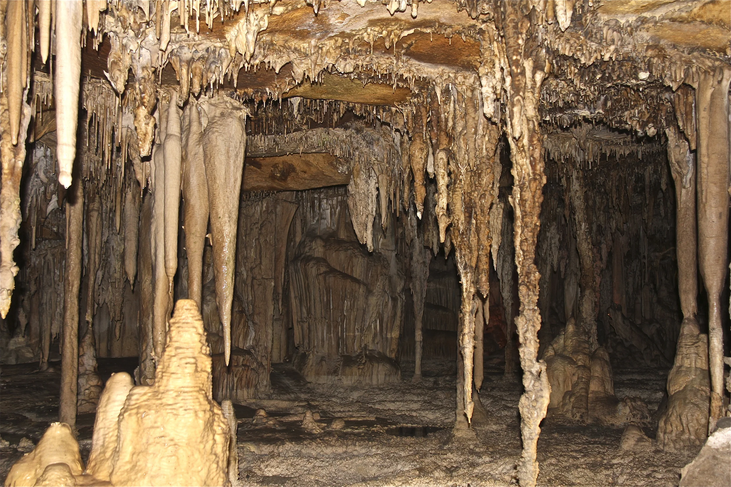 lehman caves in great basin