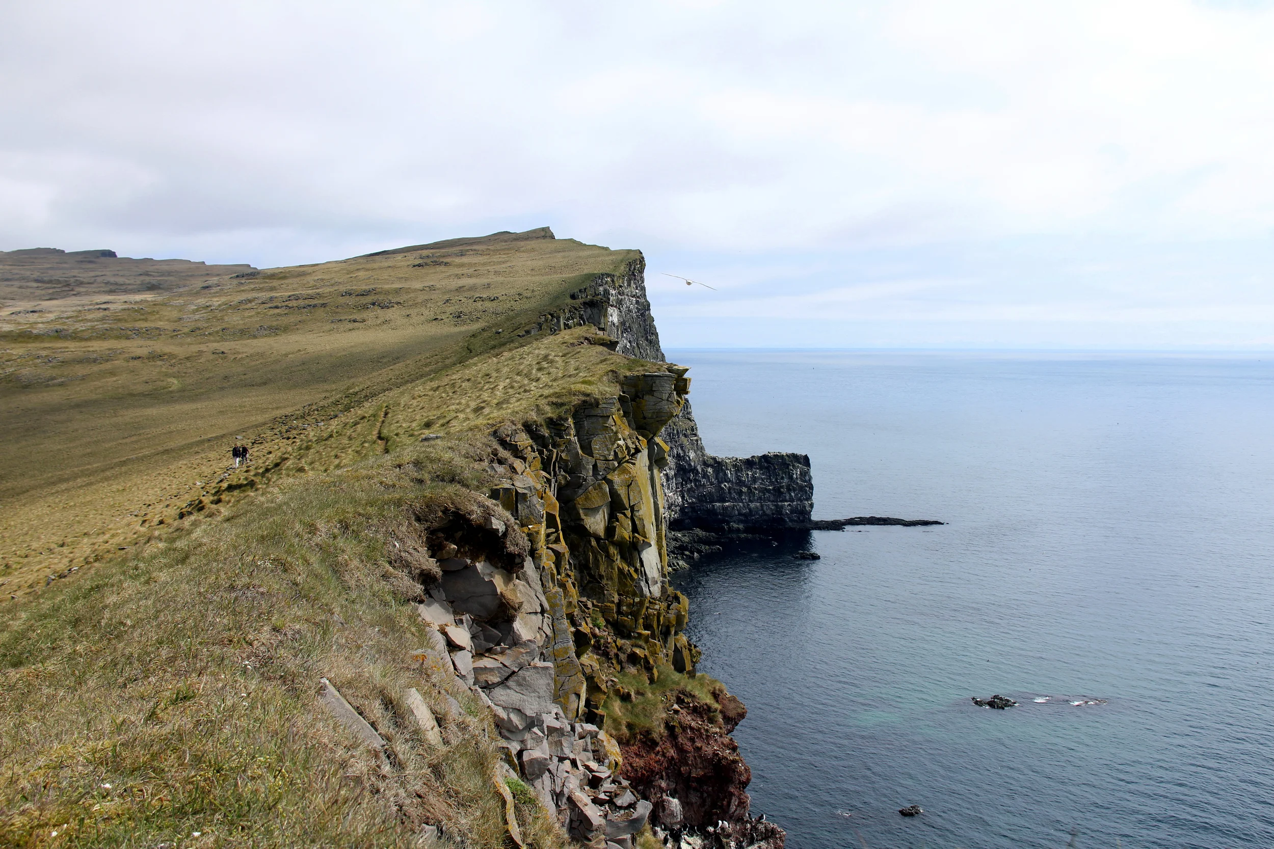 latrabjarg peninsula, iceland