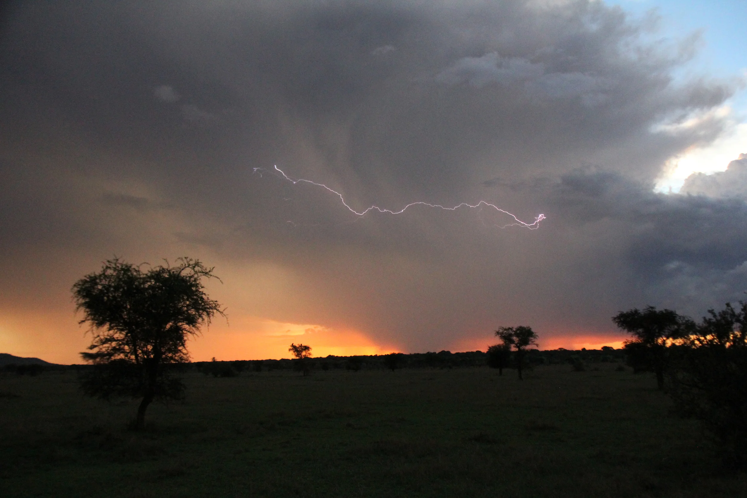 serengeti national park, tanzania