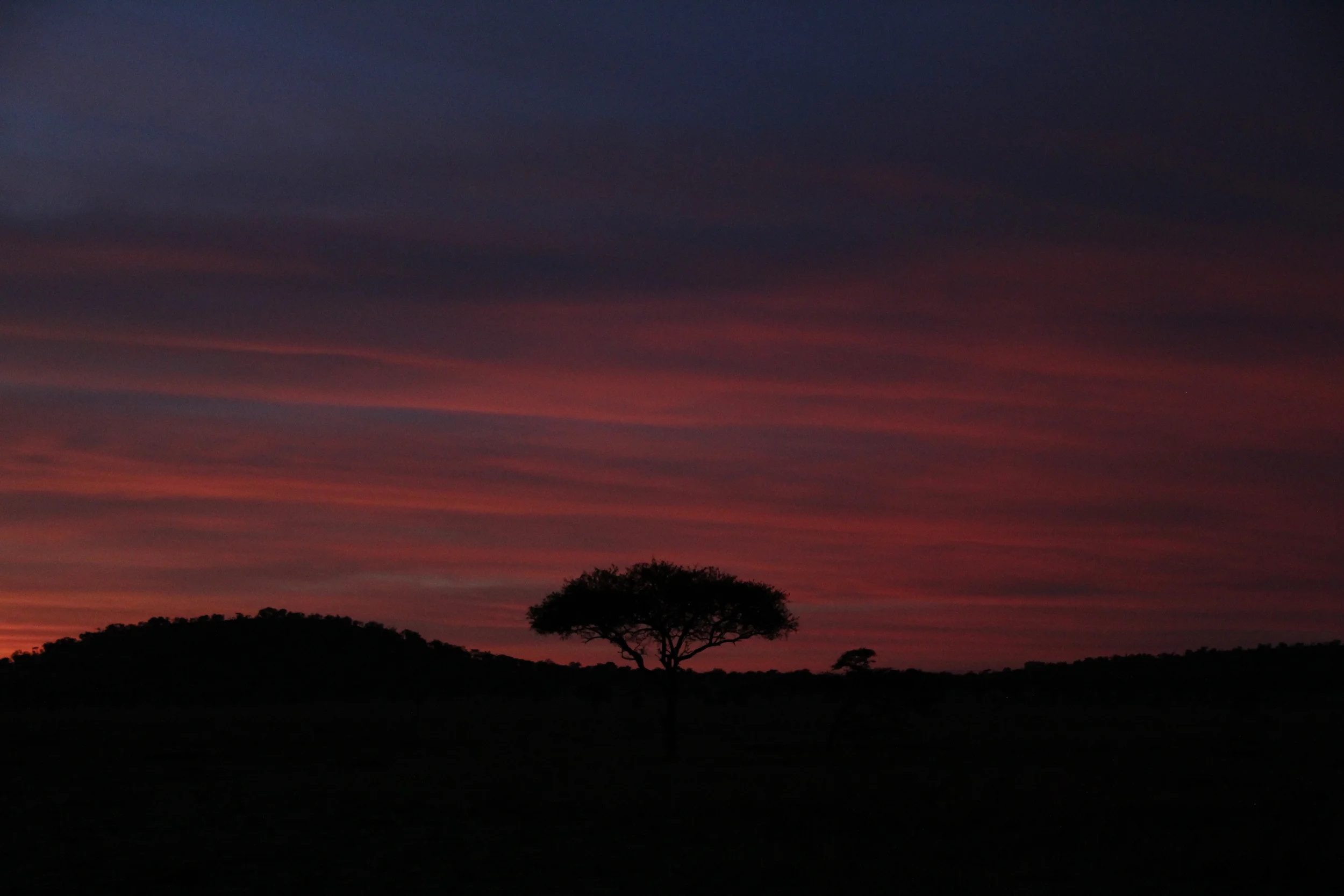 serengeti national park, tanzania