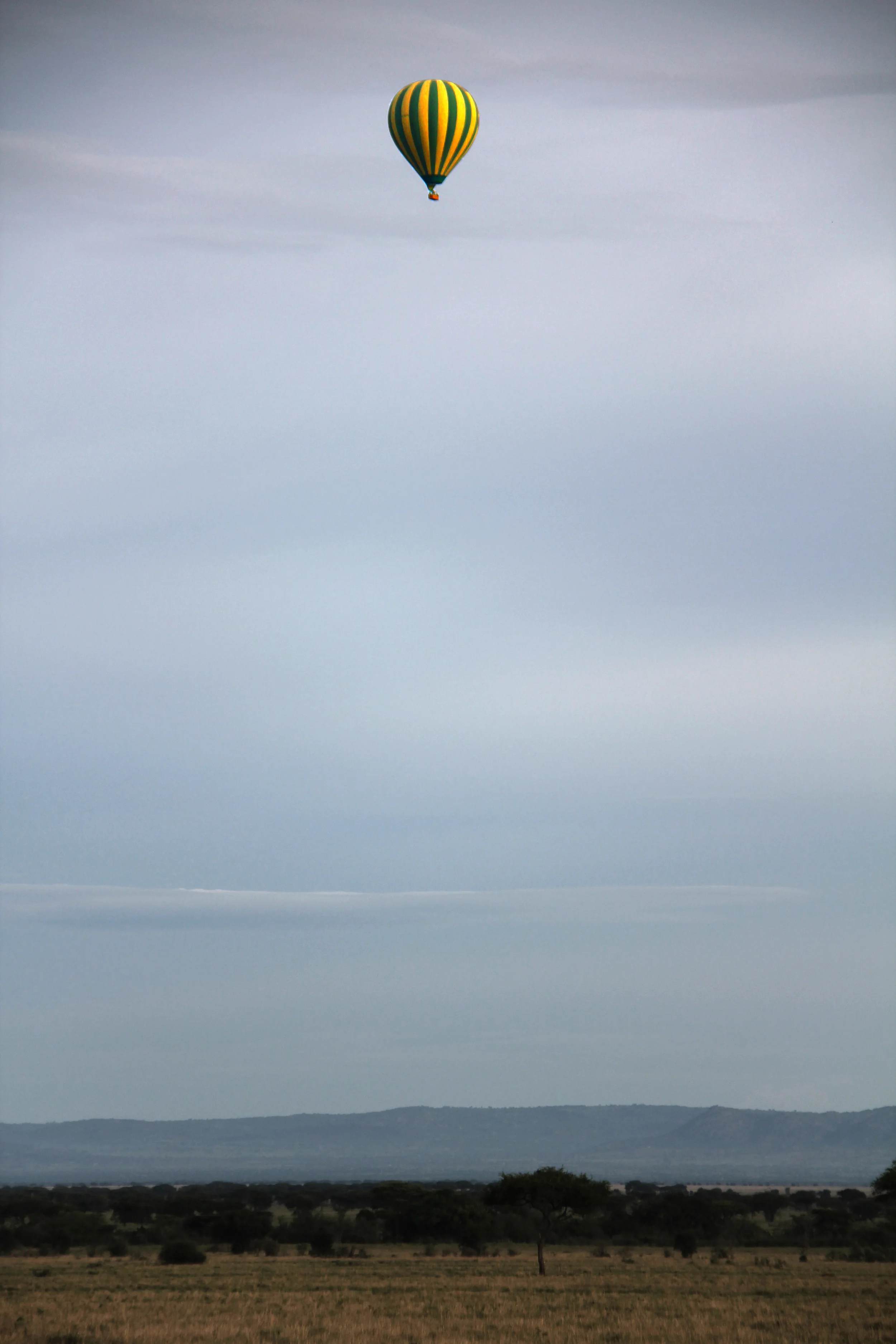 serengeti national park, tanzania