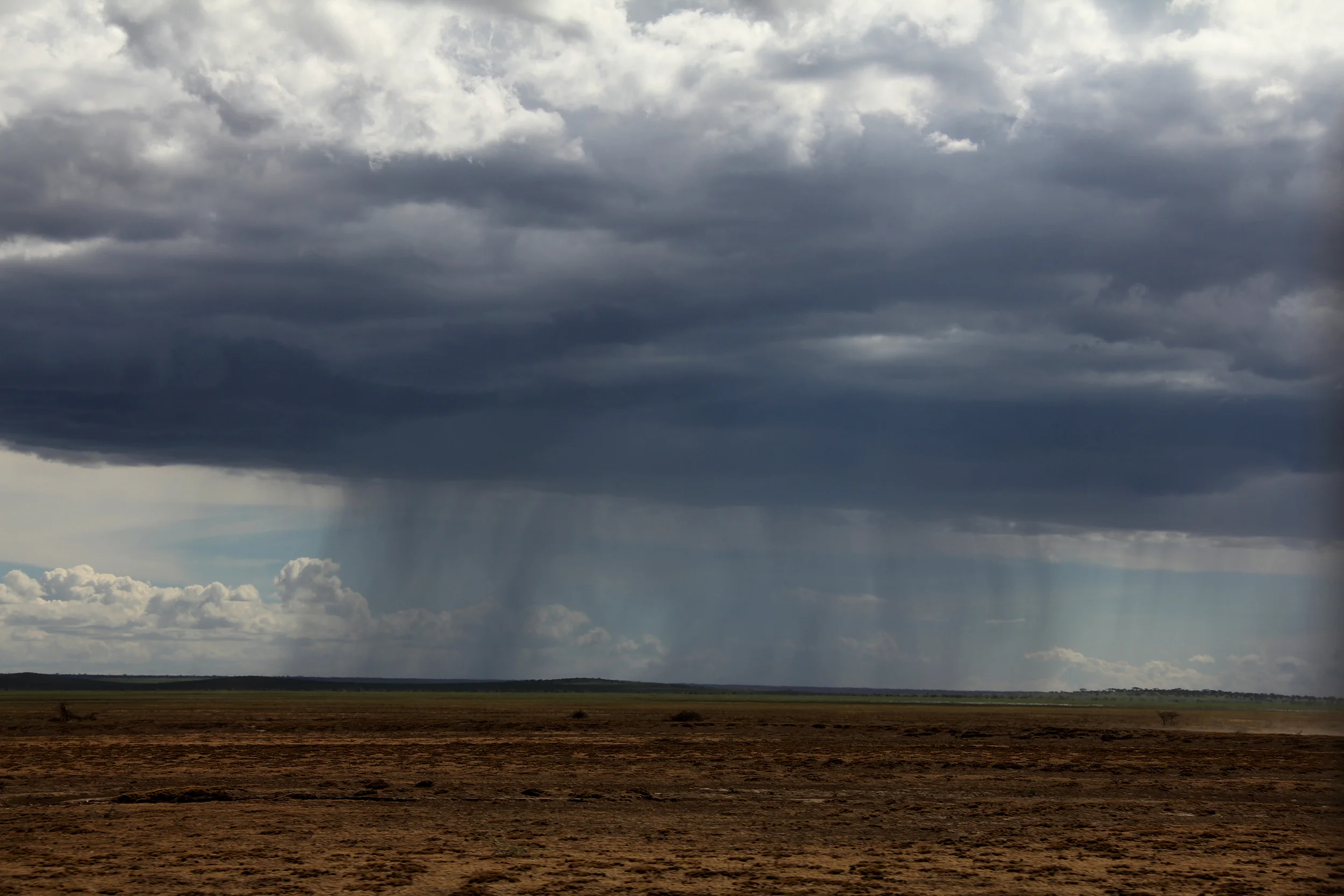 serengeti national park, tanzania