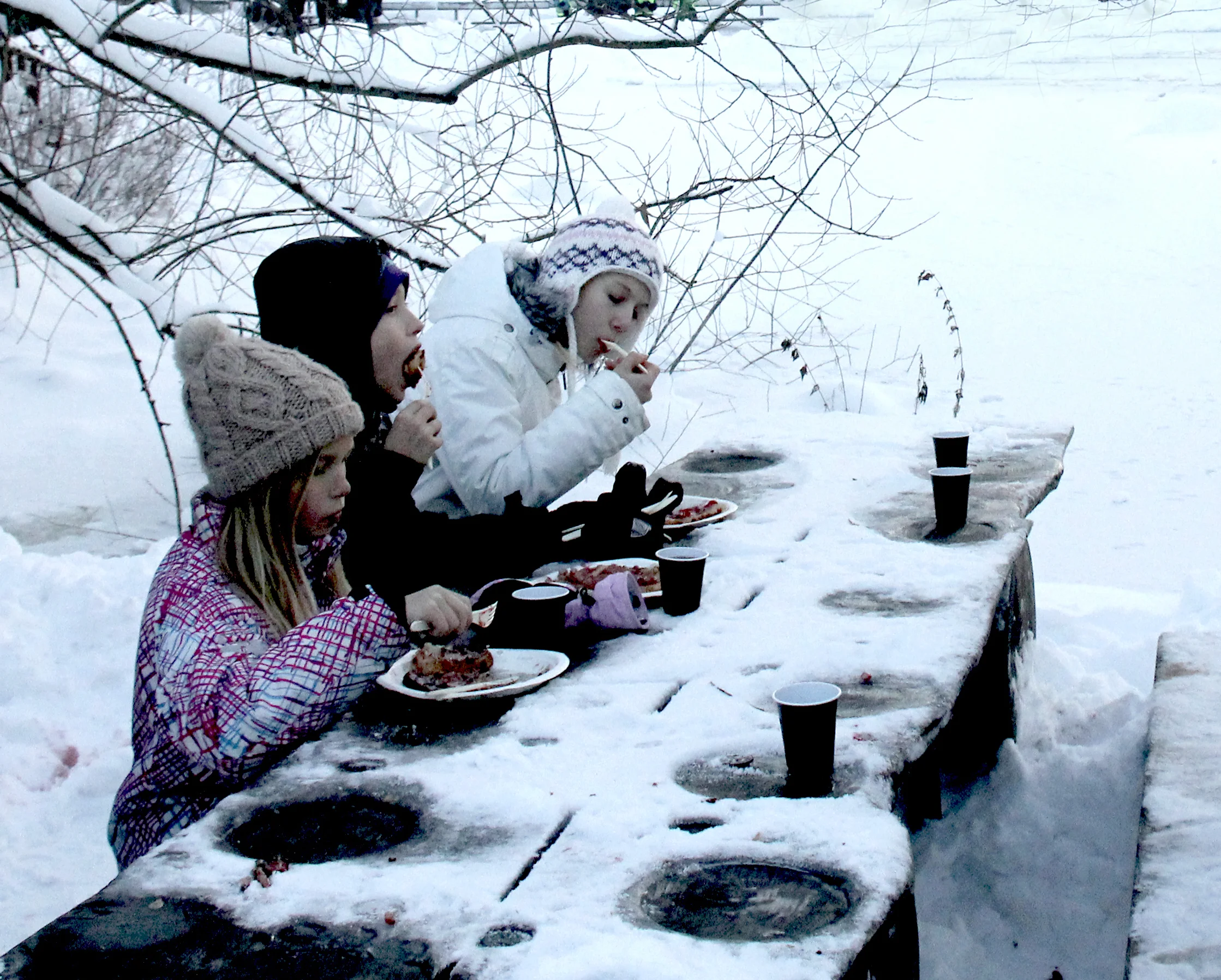 frozen dinner, skansean village, stockholm sweden