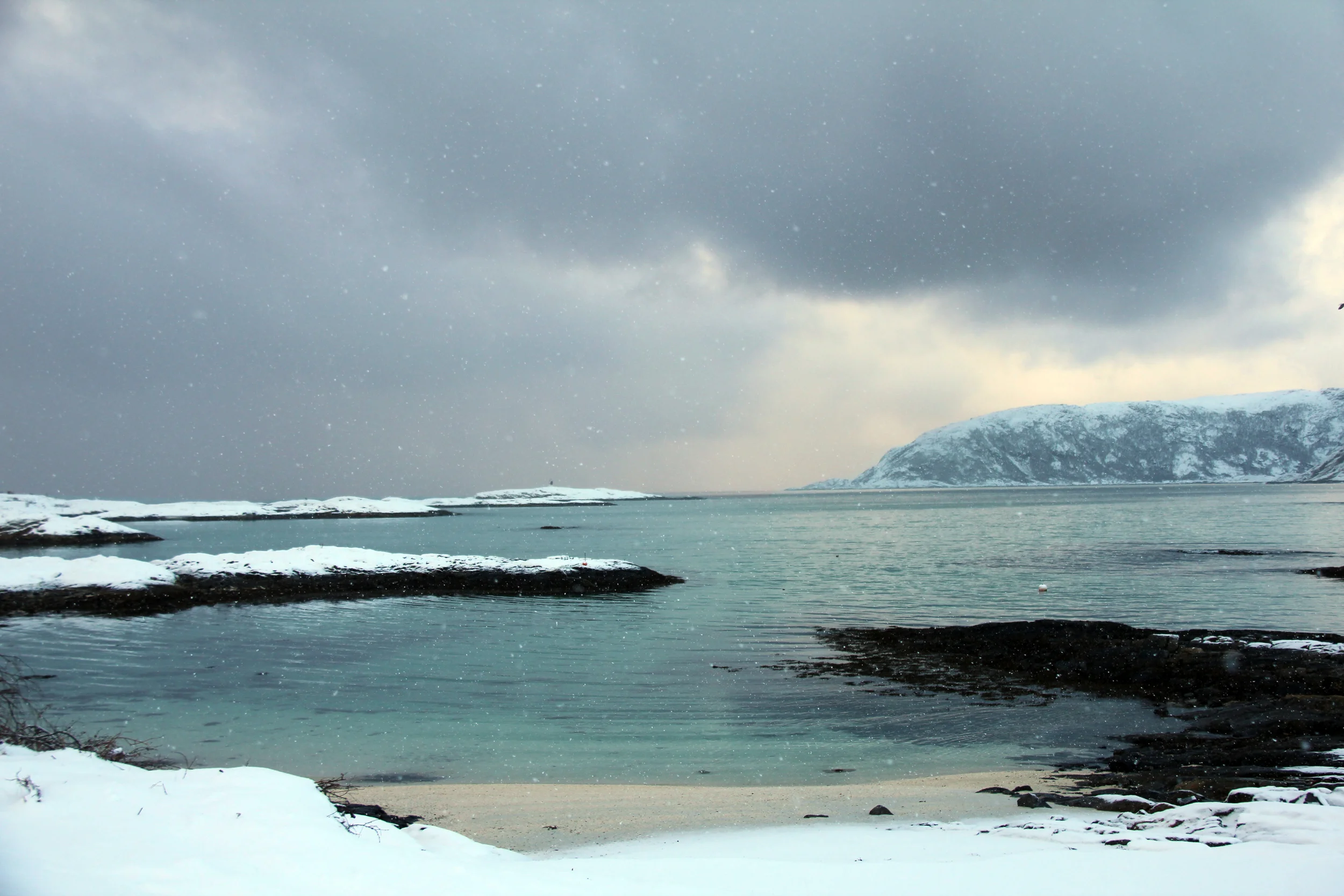 beach at sommaroya, norway